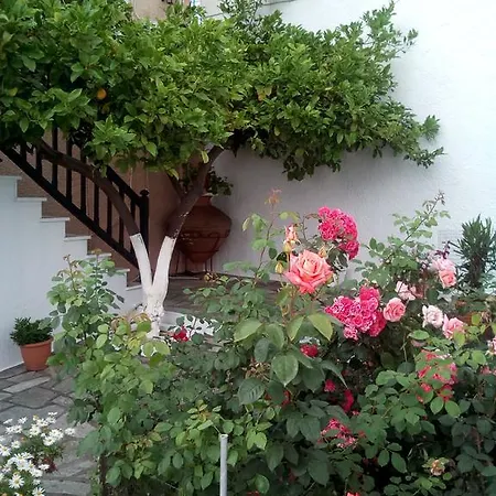 Sofia's Garden By Kottas 公寓 *