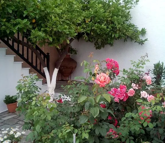 Sofia's Garden By Kottas Apartamento *